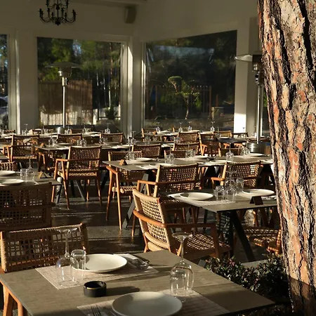 Hotel Pine View Boutique Adults Only