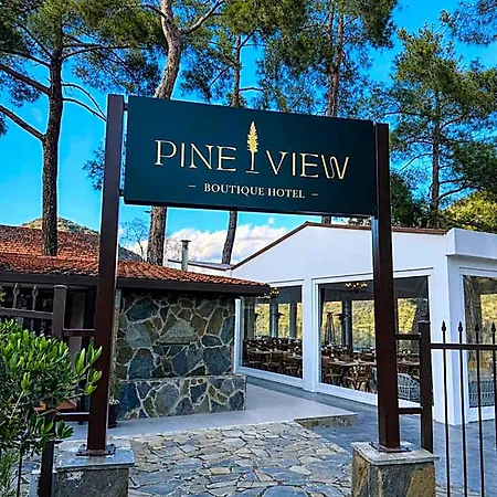 Pine View Boutique Adults Only * 特罗多斯