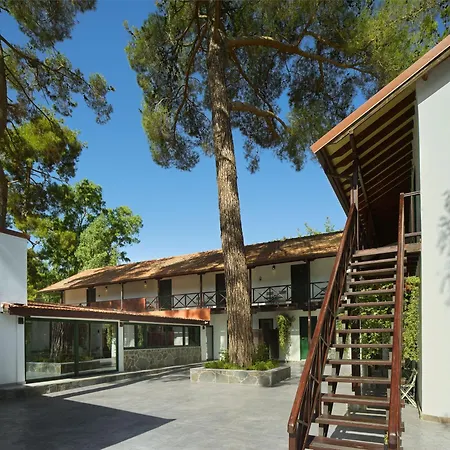 Hotel Pine View Boutique Adults Only